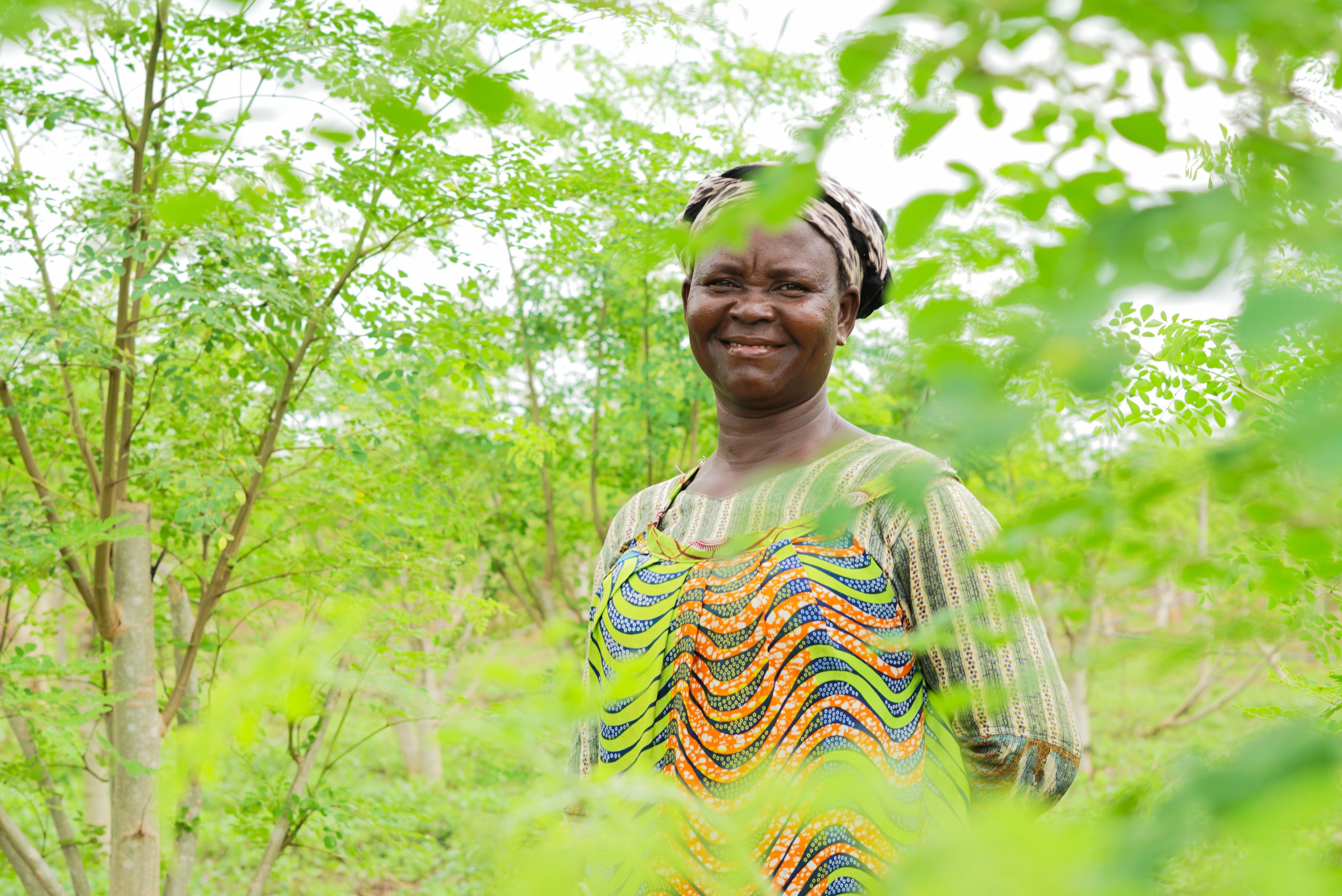 Our Natural Farm Achieves Regenified Certification! – True Moringa Our Natural Farm Achieves Regenified Certification! – True Moringa