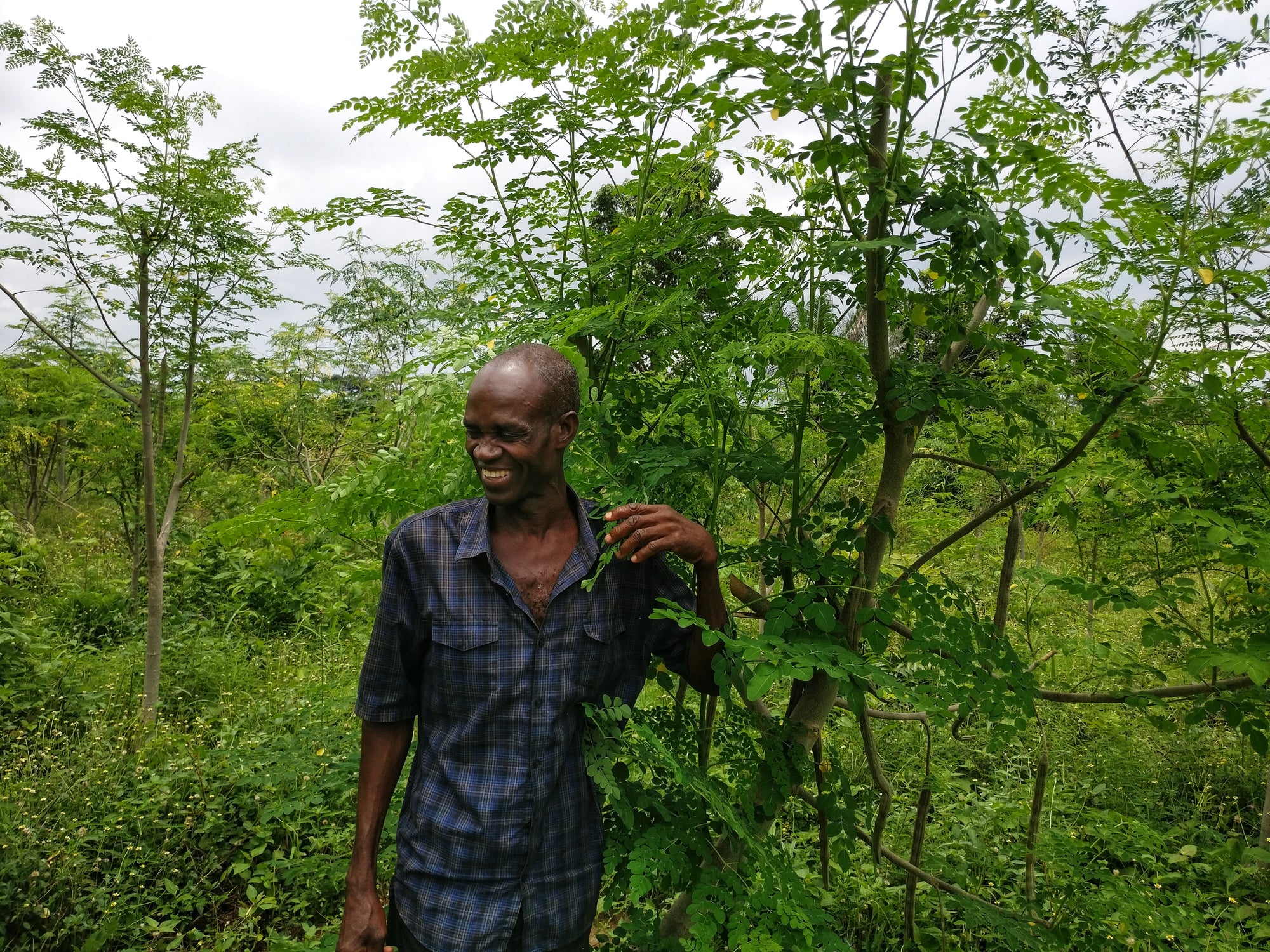 Stories from the Field: A Day in the Life of a Fishing Village