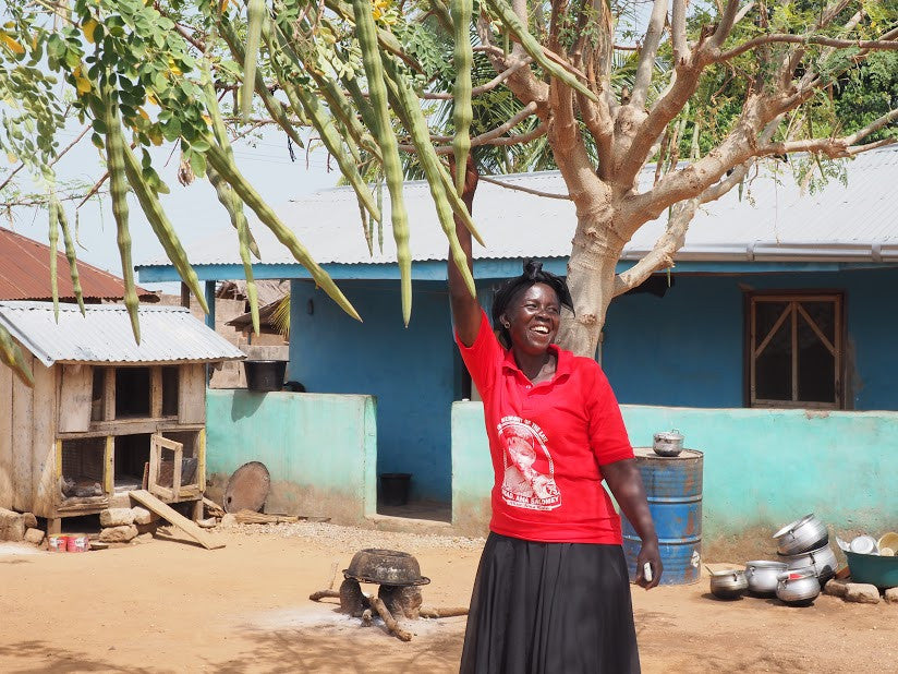 Million Moringa Tree Campaign